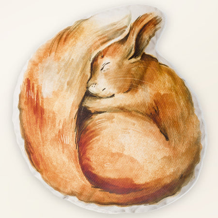 Coussin décoratif enfant motif écureuil - Velours, coussin animal, vue de face