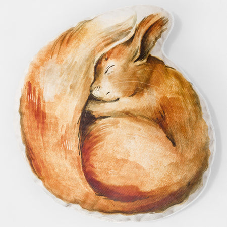 Coussin décoratif enfant motif écureuil - Velours, vue d'ensemble du motif illustré